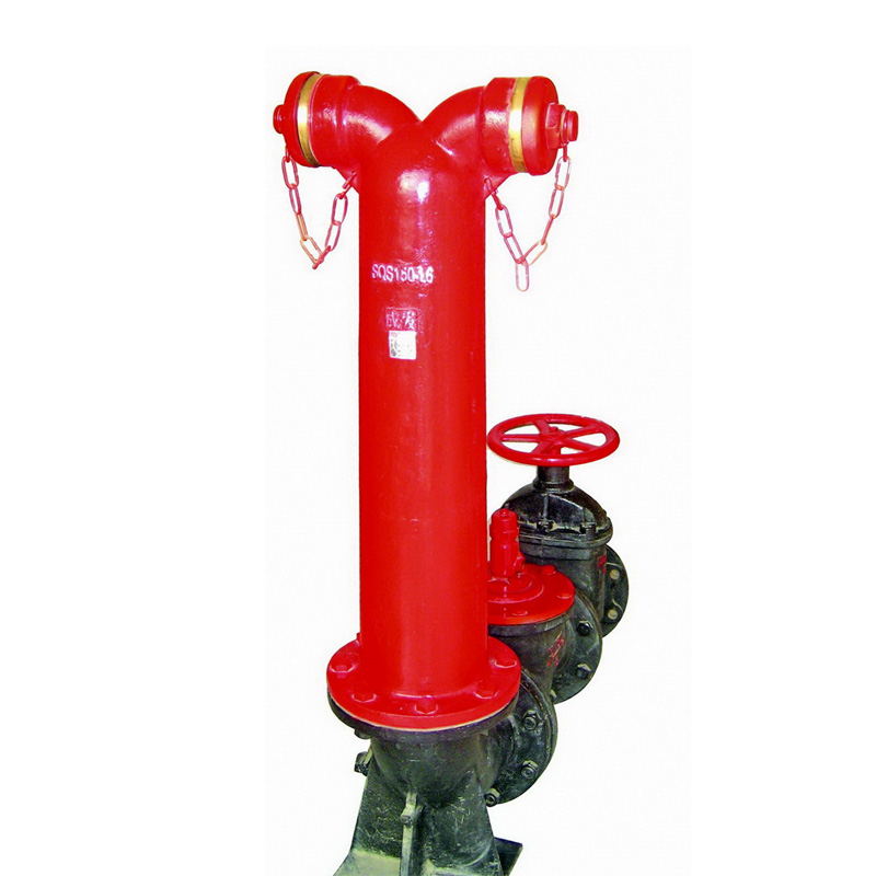 SQS150-1.6型地上式消防水泵接合器